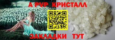 амфетамин Кингисепп