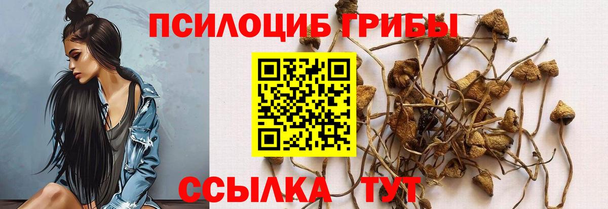 Псилоцибиновые грибы Psilocybine cubensis  Вход с VPN  наркотики  Королёв 